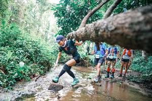 BIB: 
                            <button type="button" onclick="openModal(25373134)" class="btn btn-primary btn-sm float-right btn-popup" data-toggle="modal" data-target=".modal-high-quality">
                        <i class="fas fa-shopping-cart"></i> Add to Cart
                    </button>
                                            <button type="button" onclick="isThisMe(25373134, true)" class="btn btn-success btn-sm float-right btn-popup btn-isme hidden" data-toggle="tooltip" data-placement="bottom" title="นี่คือรูปของคุณใช่ไหม คลิกที่นี่เพื่อเอาเข้าอัลบั้ม">
                        <i class="fas fa-plus"></i> Add to album
                    </button>
                    <button type="button" onclick="isThisMe(25373134, false)" class="btn btn-warning btn-sm float-right btn-popup btn-isnotme hidden">
                        <i class="fas fa-ban"></i> Remove from album
                    </button>